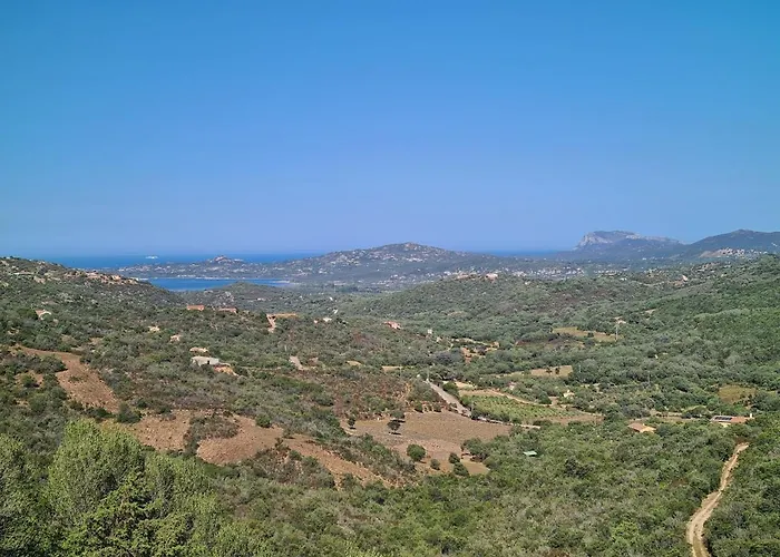 Mores' -shared Pool- Daire