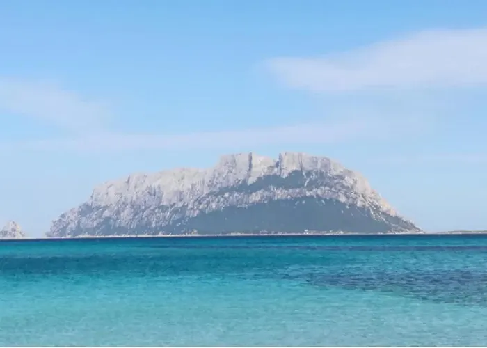 Mores' -shared Pool-