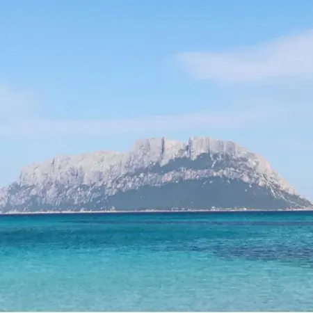 Mores' -shared Pool-